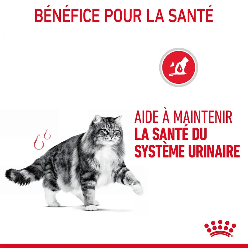 Royal Canin Urinary Care