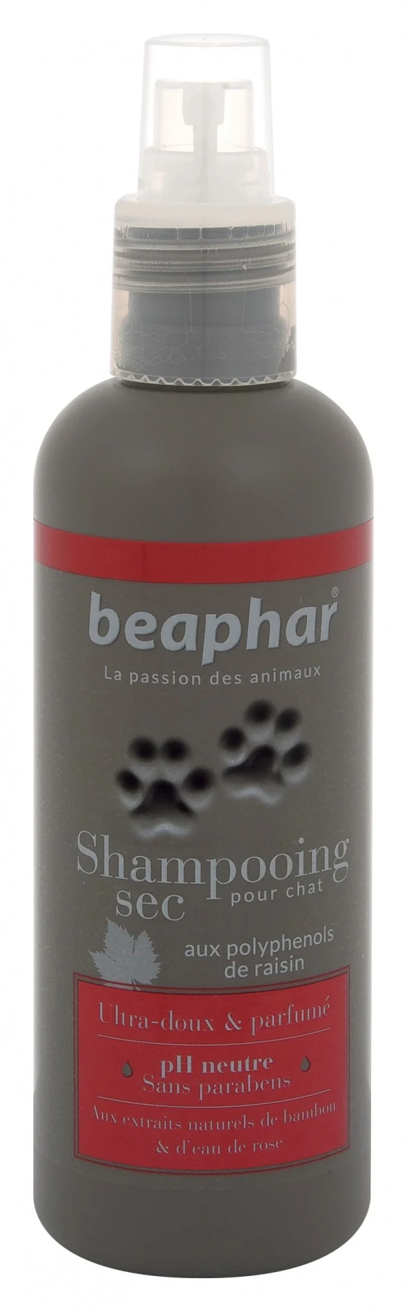Shampooing sec pour chat