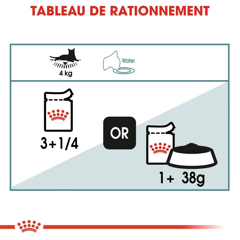Royal Canin Hairball Care