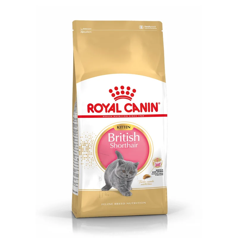 Royal Canin British Shorthair Kitten