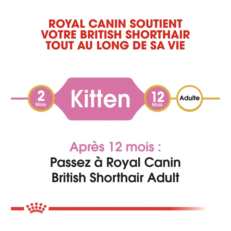 Royal Canin British Shorthair Kitten