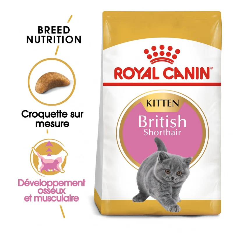 Royal Canin British Shorthair Kitten