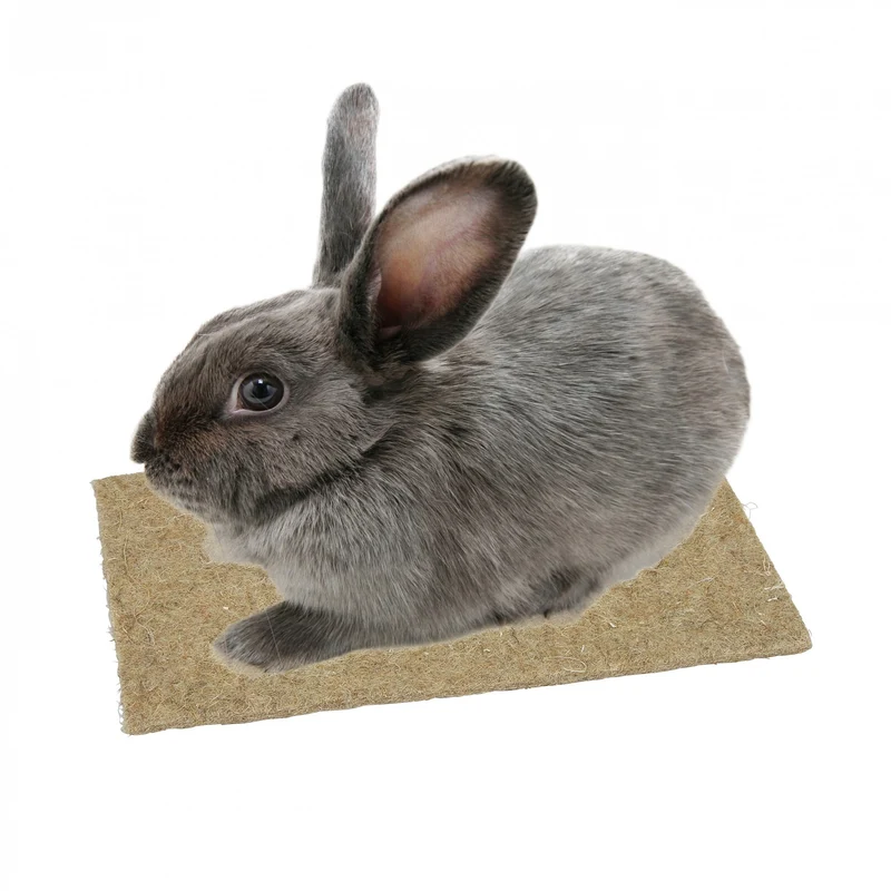 Tapis de chanvre