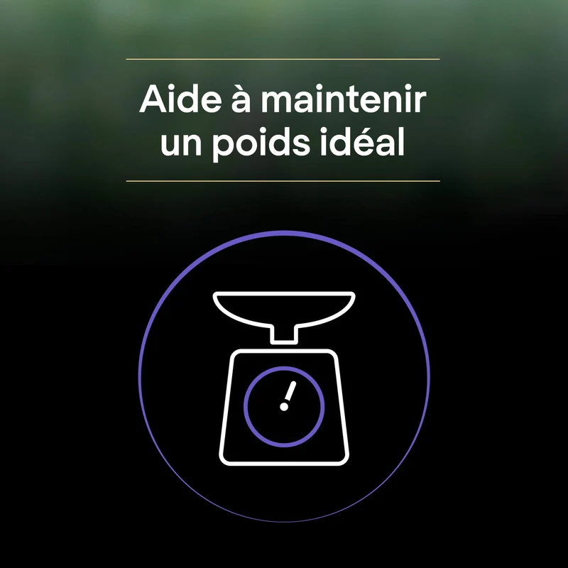 PRO PLAN LiveClear Kitten à la dinde - Croquettes pour chaton