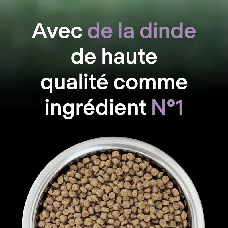 PRO PLAN LiveClear Kitten à la dinde - Croquettes pour chaton