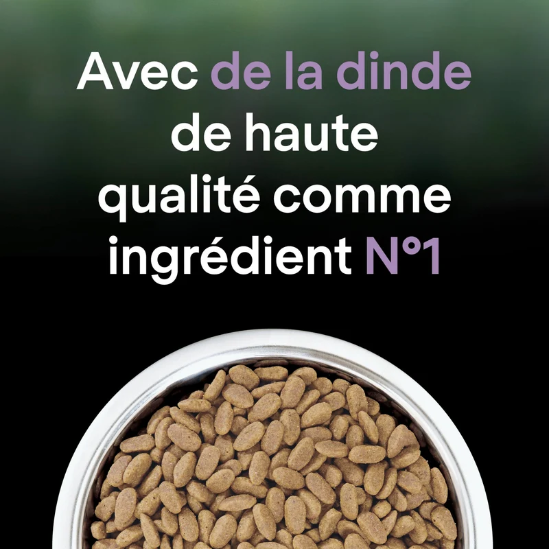 PRO PLAN LiveClear Sterilised Senior à la Dinde - Croquettes pour chat