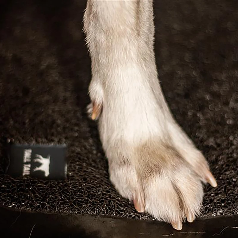 Tapis de bain