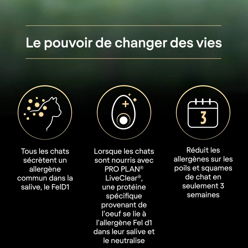 PRO PLAN LiveClear Sterilised Adult à la Dinde - Croquettes pour chat
