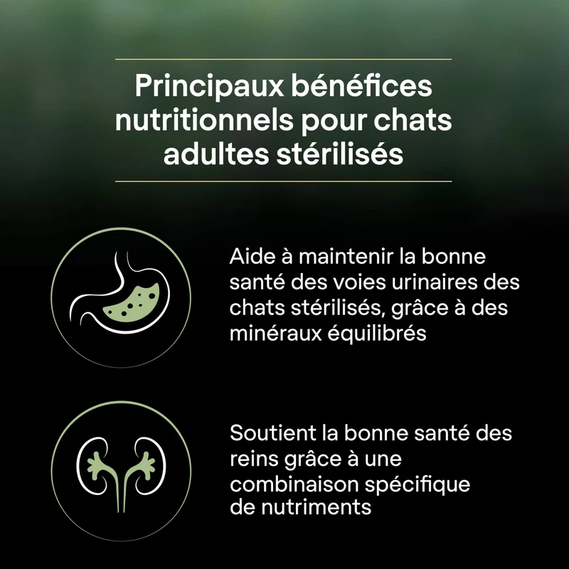 PRO PLAN LiveClear Sterilised Adult à la Dinde - Croquettes pour chat