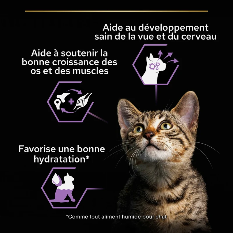 PRO PLAN Healthy Start Baby Kitten en mousse au Poulet - Pâtée pour chaton