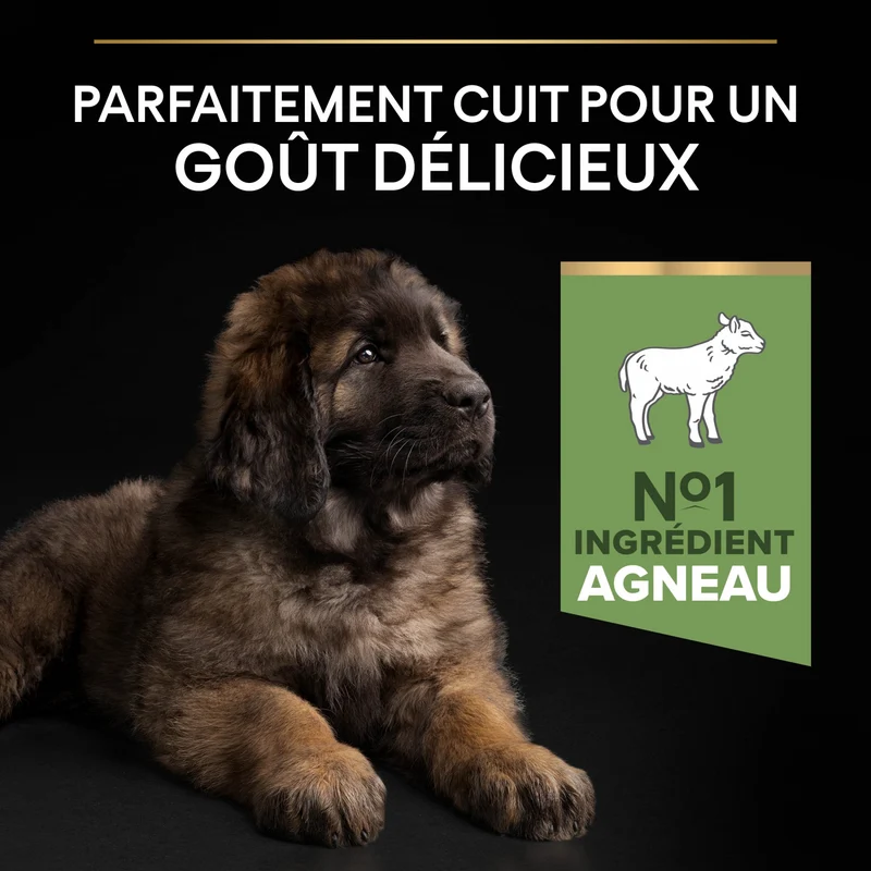 PRO PLAN Sensitive Digestion Large Robust Puppy à la Agneau- Croquettes pour chien