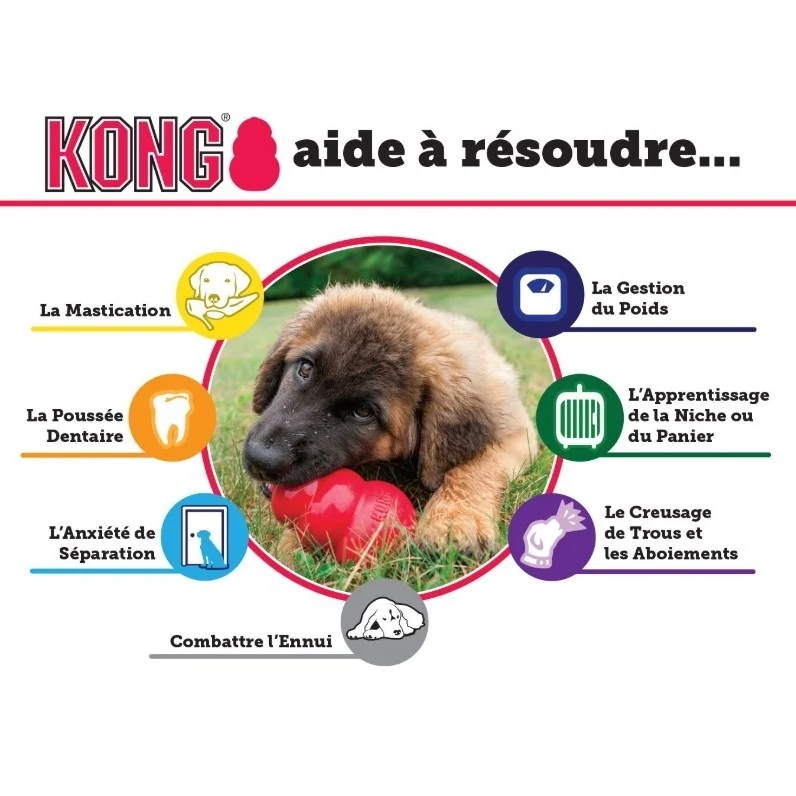 Jouet pour chiot KONG