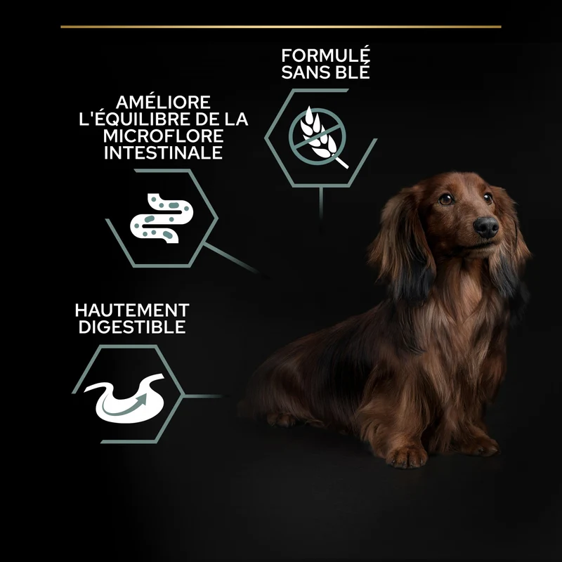 PRO PLAN Sensitive Digestion No Grain Small & Mini Adult à la Dinde - Croquettes pour chien