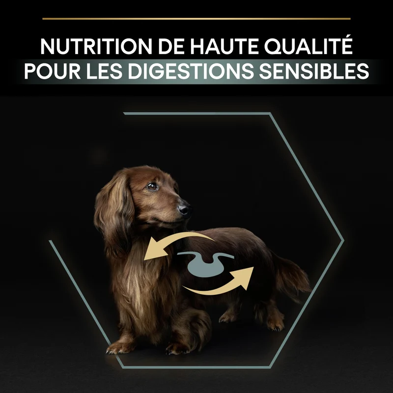 PRO PLAN Sensitive Digestion No Grain Small & Mini Adult à la Dinde - Croquettes pour chien