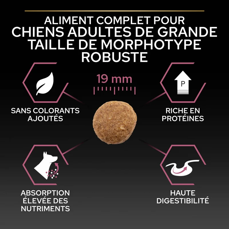 PRO PLAN Sensitive Skin Large Robust Adult au Saumon - Croquettes pour chien