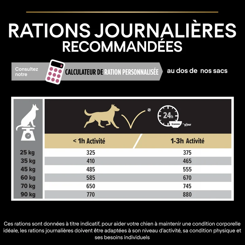PRO PLAN Sensitive Skin Large Robust Adult au Saumon - Croquettes pour chien