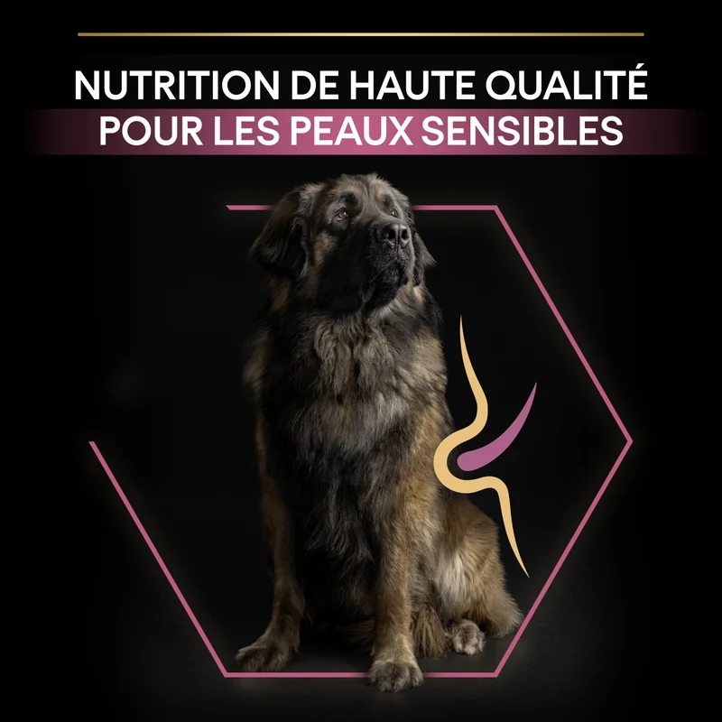 PRO PLAN Sensitive Skin Large Robust Adult au Saumon - Croquettes pour chien