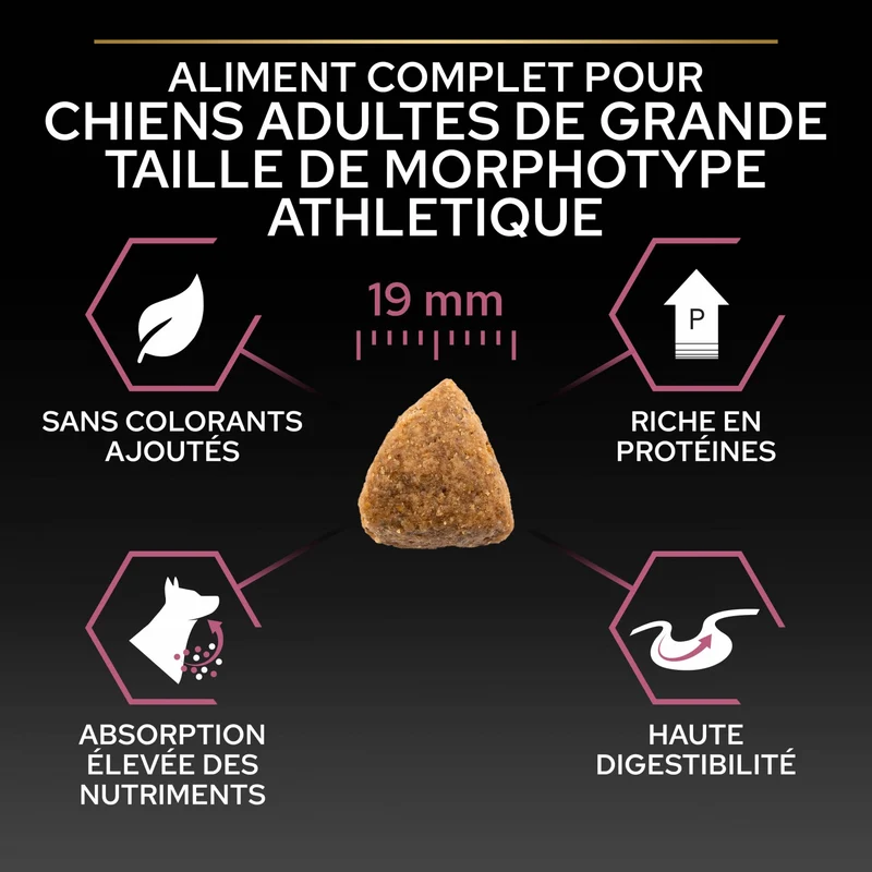 PRO PLAN Sensitive Skin Large Athletic Adult au Saumon - Croquettes pour chien