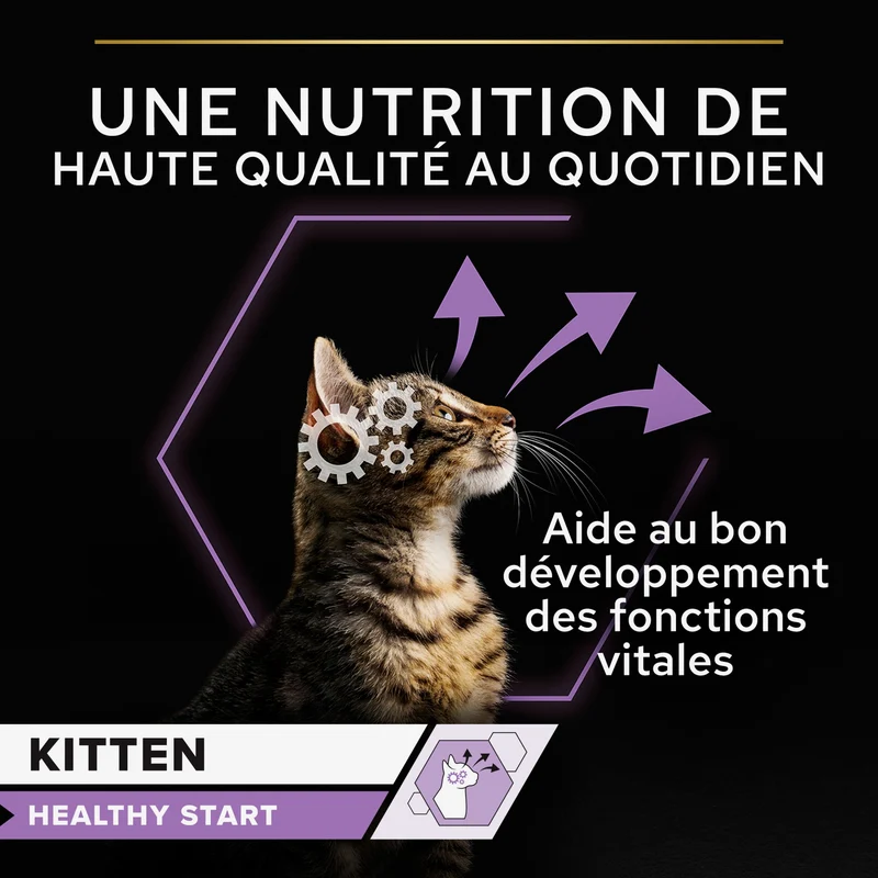 PRO PLAN Healthy Start Kitten en mousse au Poulet - Pâtée pour chaton