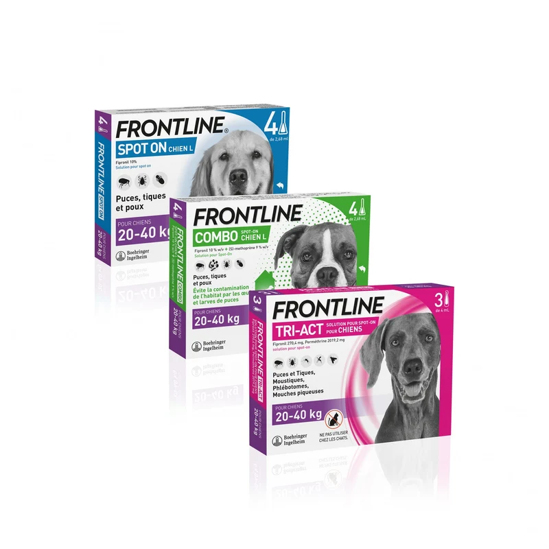 Frontline Tri-act chien