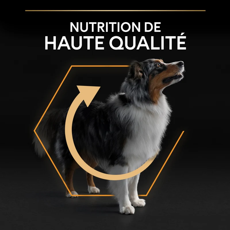 PRO PLAN Everyday Nutrition Medium Adult au Poulet - Croquettes pour chien