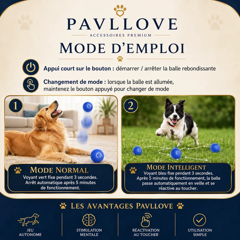 Balle Interactive pour Chien Rechargeable USB-C – Jouet Automatique Intelligent Pavllove®