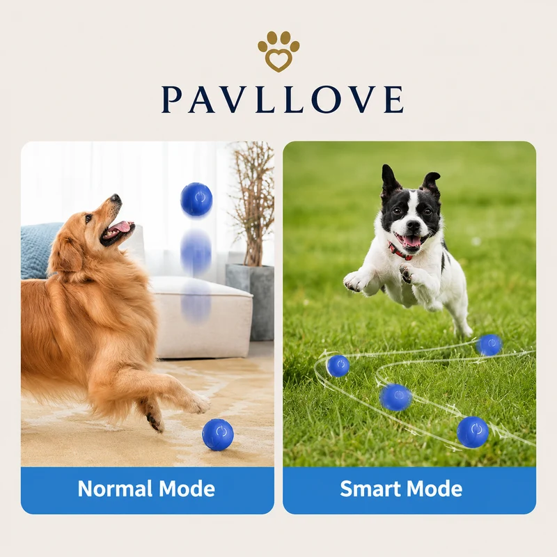 Balle Interactive pour Chien Rechargeable USB-C – Jouet Automatique Intelligent Pavllove®