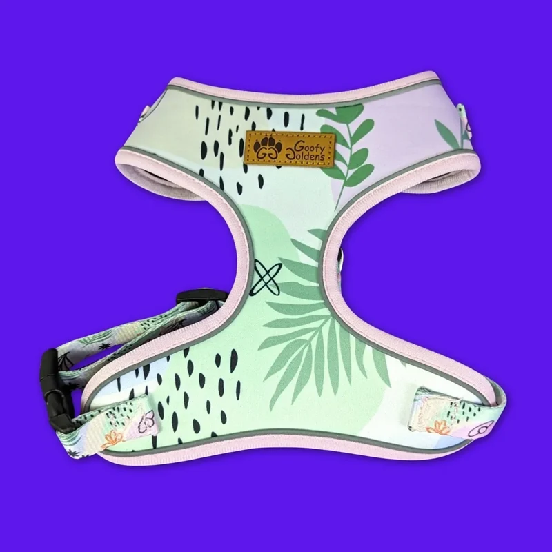 Harnais pour chien Pastel