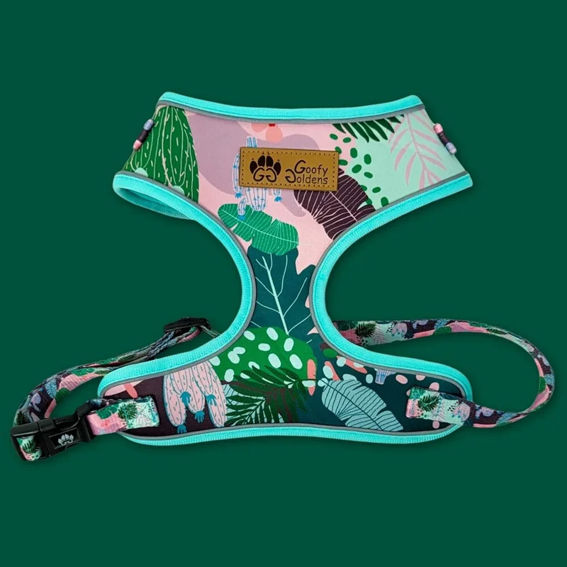 Harnais pour chien Cactus