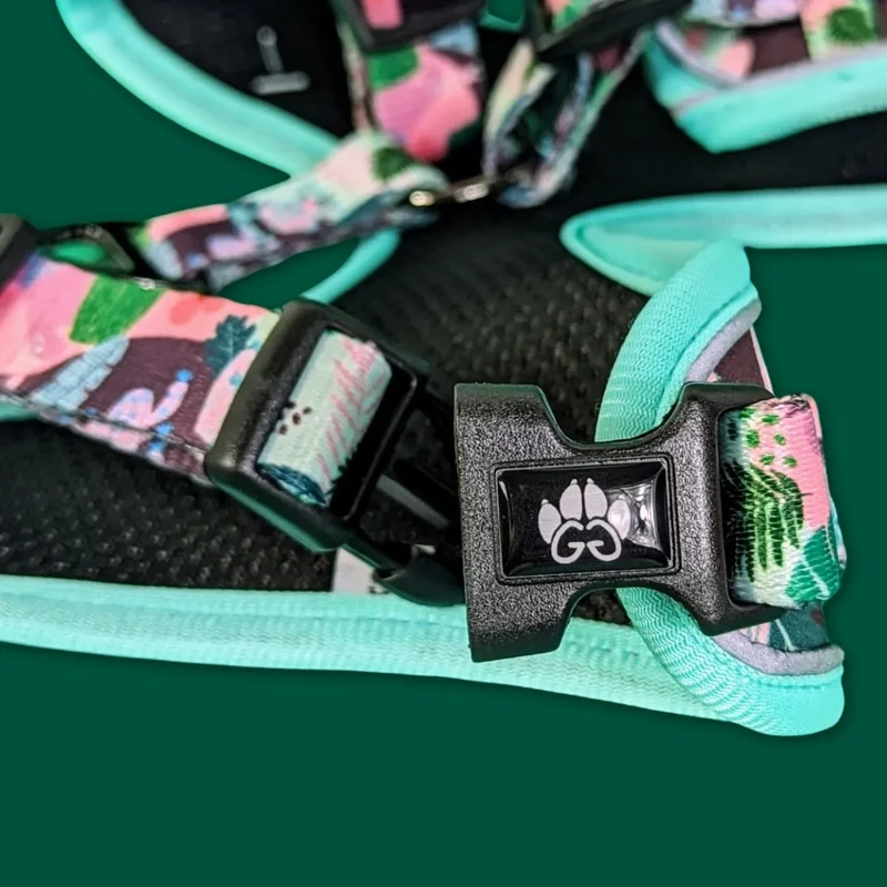 Harnais pour chien Cactus