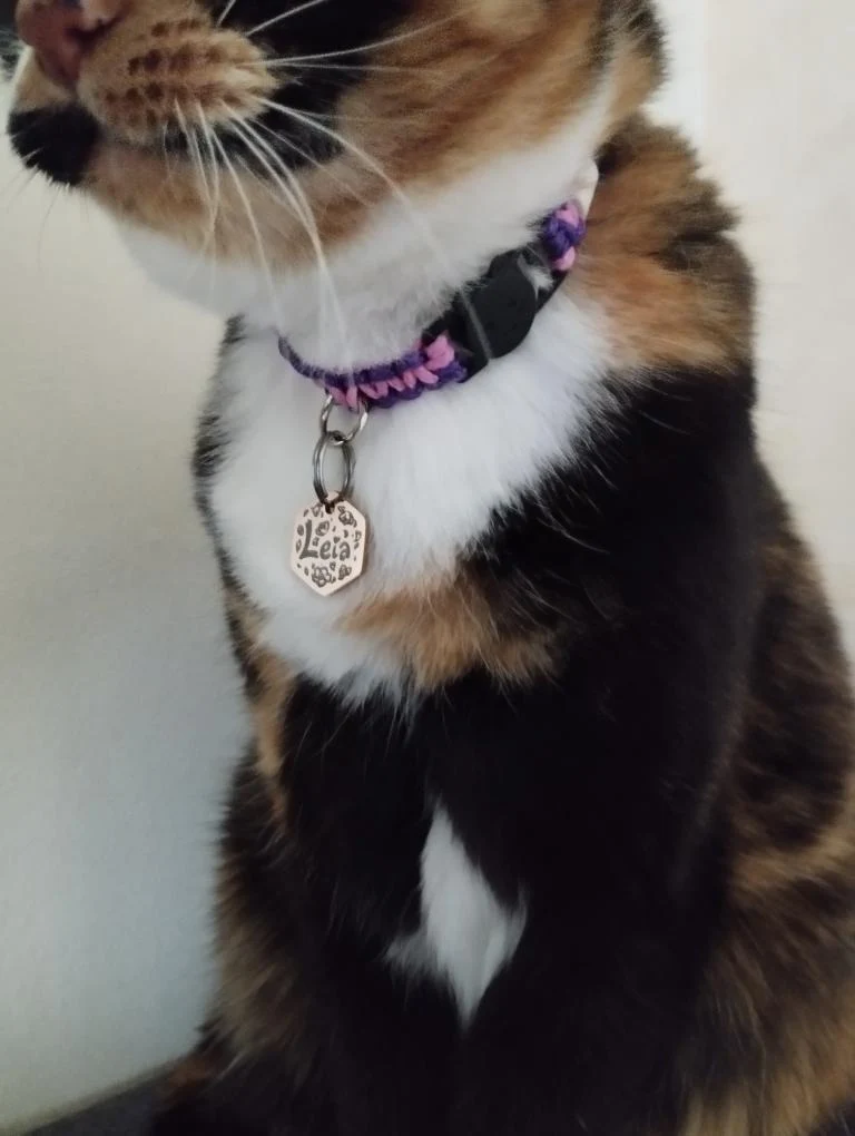 Collier anti-tiques pour chat en céramique EM - CHAT 1cm clip sécurité