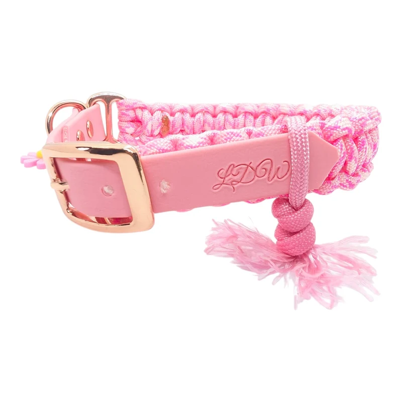 Collier réglable pour chien en paracorde BUBBLE GUM - largeur 2cm Taille 30-35cm