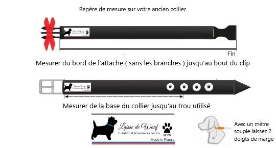 Collier pour chien DIAMOND - Largeur 3 cm
