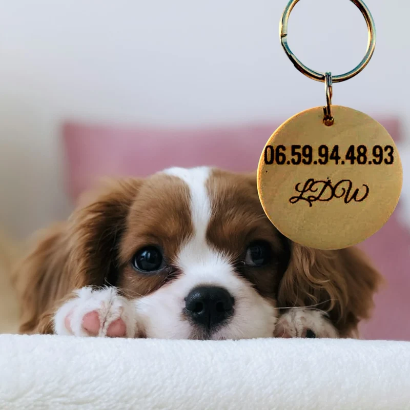 Médaille d'identification pour chien en Bois verni | motif os