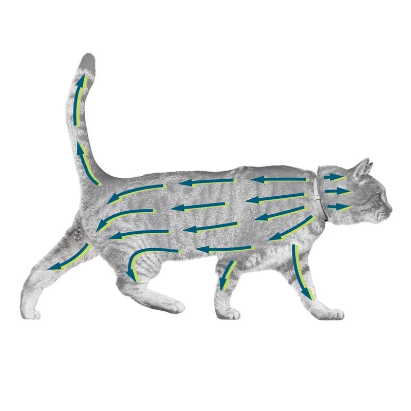 Collier antiparasitaire Seresto chat