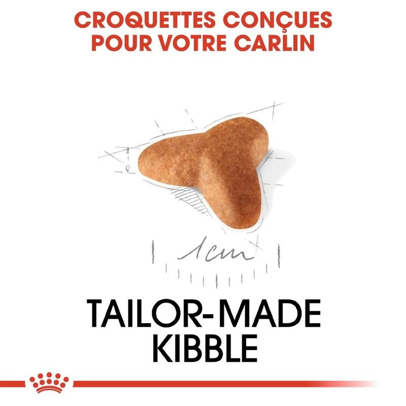 Royal Canin Carlin Puppy (Pug)