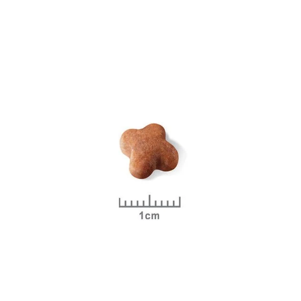Royal Canin Jack Russell Puppy - Croquettes pour chiot