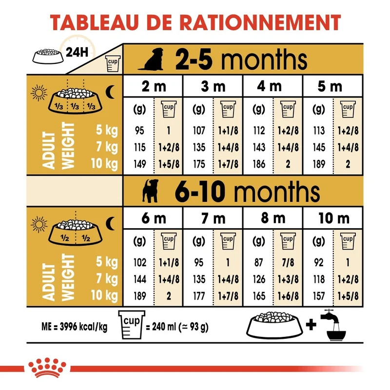 Royal Canin Jack Russell Puppy - Croquettes pour chiot