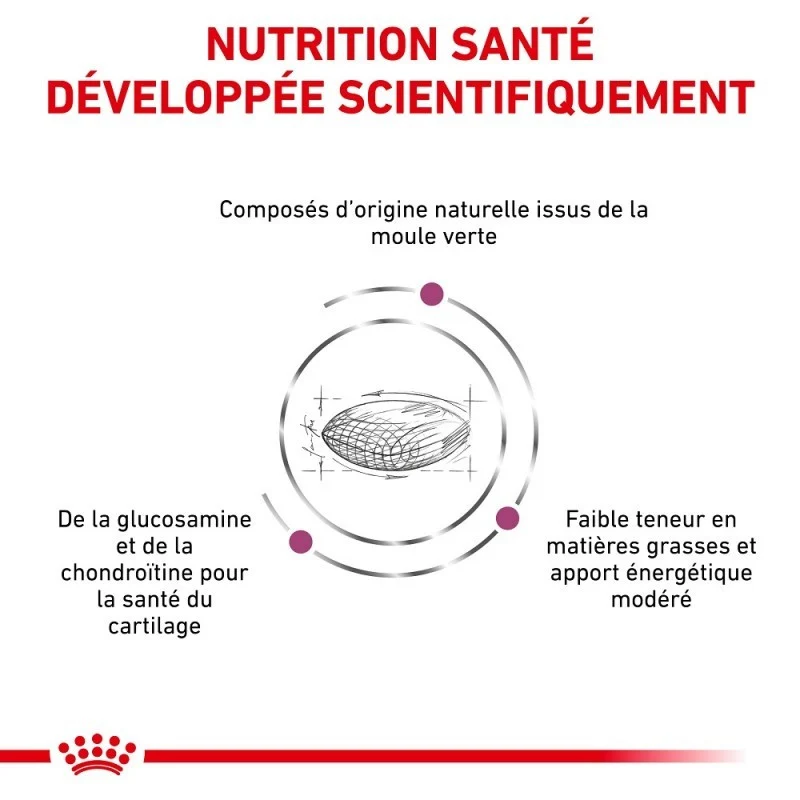 Royal Canin Veterinary Mobility Support - Croquettes pour chien