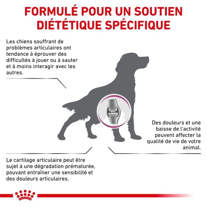 Royal Canin Veterinary Mobility Support - Croquettes pour chien