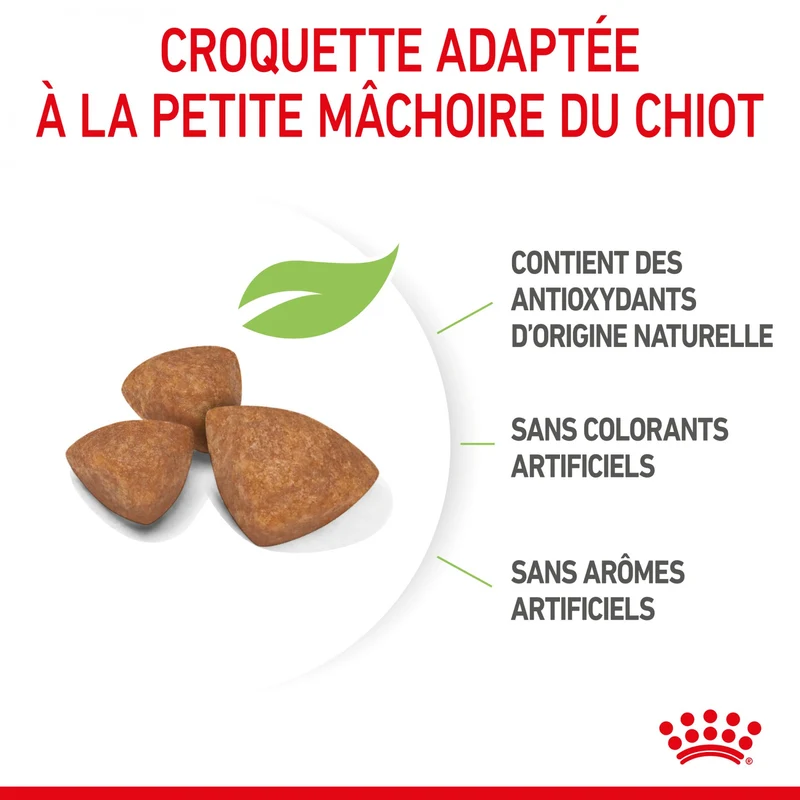 Royal Canin X-Small Puppy