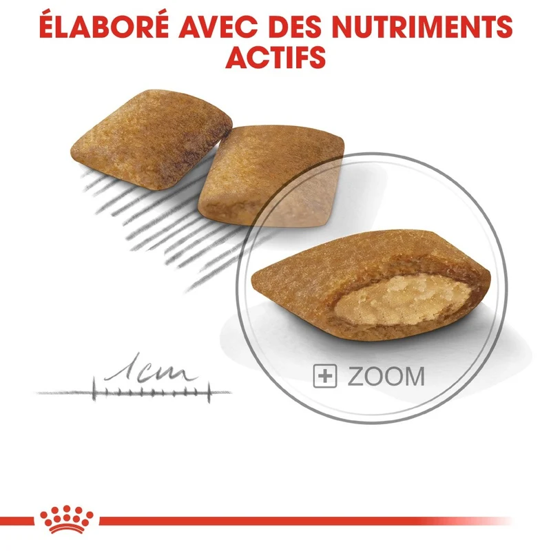 Royal Canin Mini Exigent