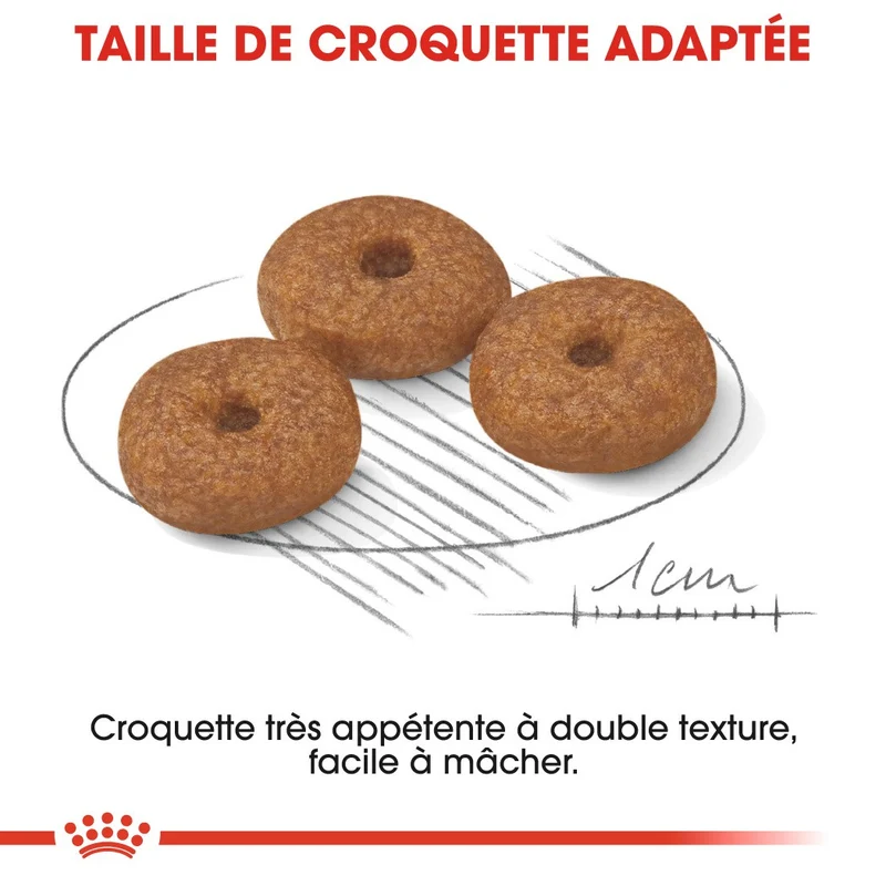 Royal Canin Mini Ageing 12+ - Croquettes pour chien