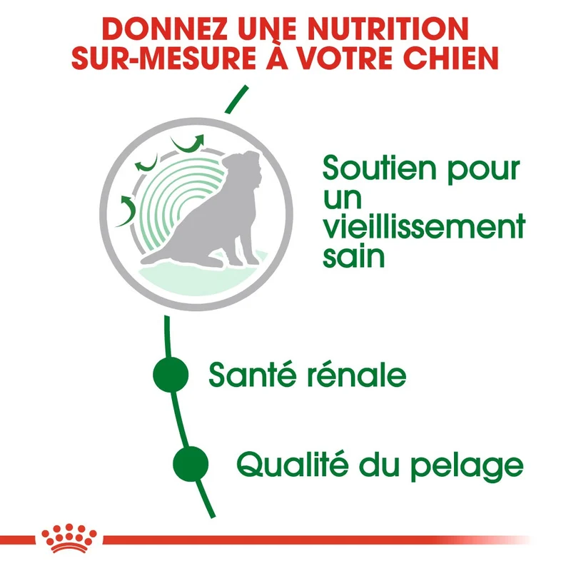 Royal Canin Mini Ageing 12+ - Croquettes pour chien