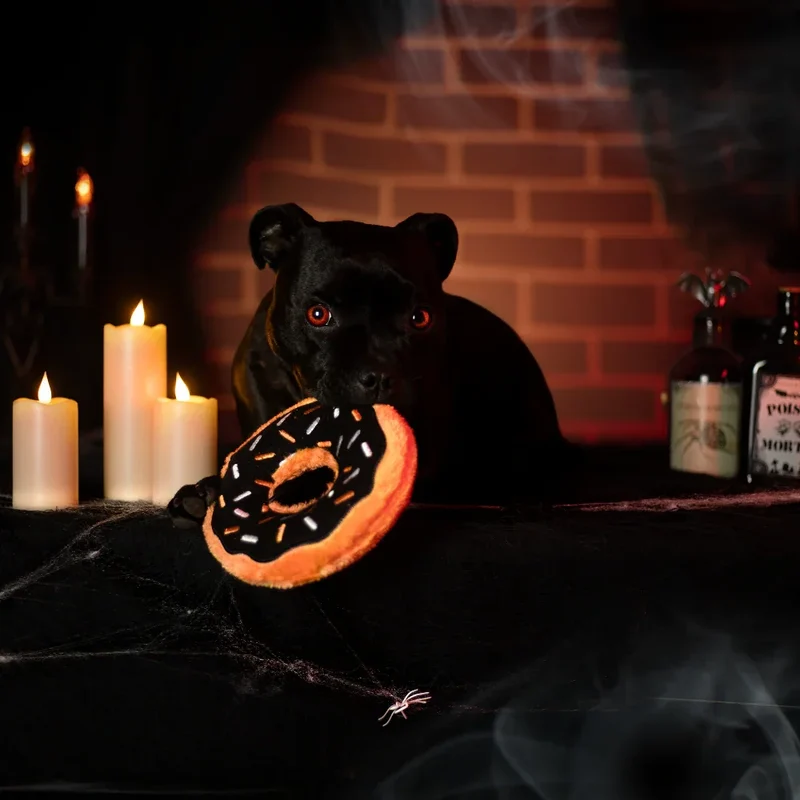 Peluche Donutz Pumpkin Spice spécial Halloween – ZippyPaws