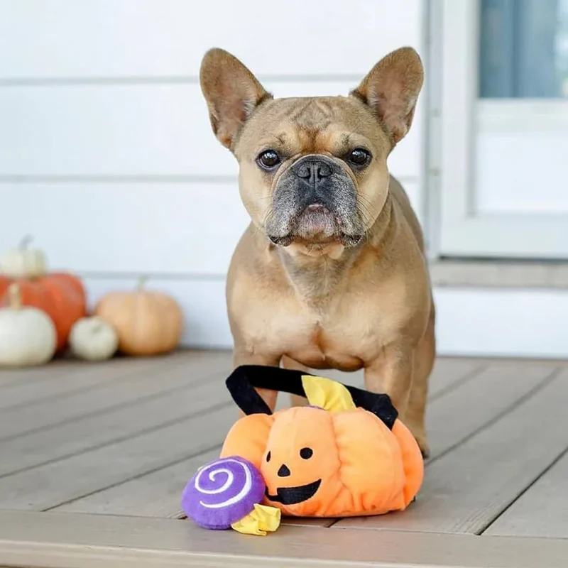 Peluche de flair Panier Citrouille Trick or Treat - Jouet d'occupation pour chien – ZippyPaws® Burrow™ Trick-or-Treat Basket
