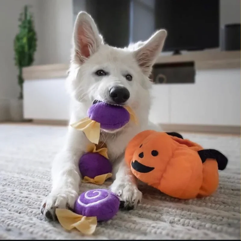 Peluche de flair Panier Citrouille Trick or Treat - Jouet d'occupation pour chien – ZippyPaws® Burrow™ Trick-or-Treat Basket