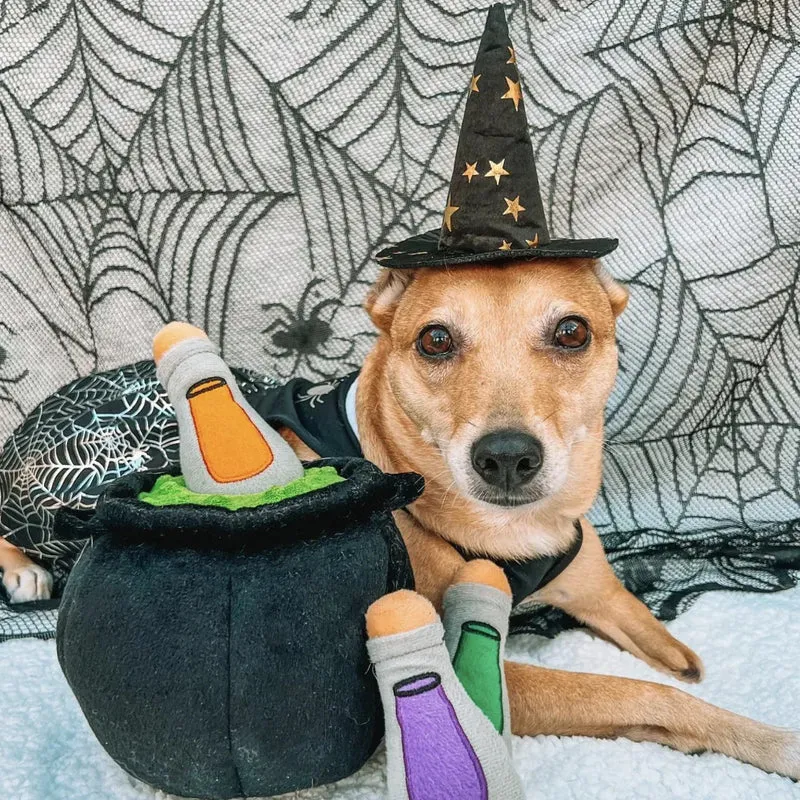 Peluche de flair Chaudron de sorcière - Jouet d'occupation pour chien – ZippyPaws® Burrow™ Witch's Brew