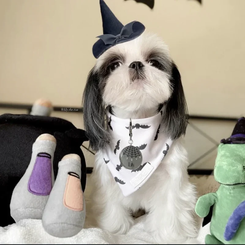 Peluche de flair Chaudron de sorcière - Jouet d'occupation pour chien – ZippyPaws® Burrow™ Witch's Brew
