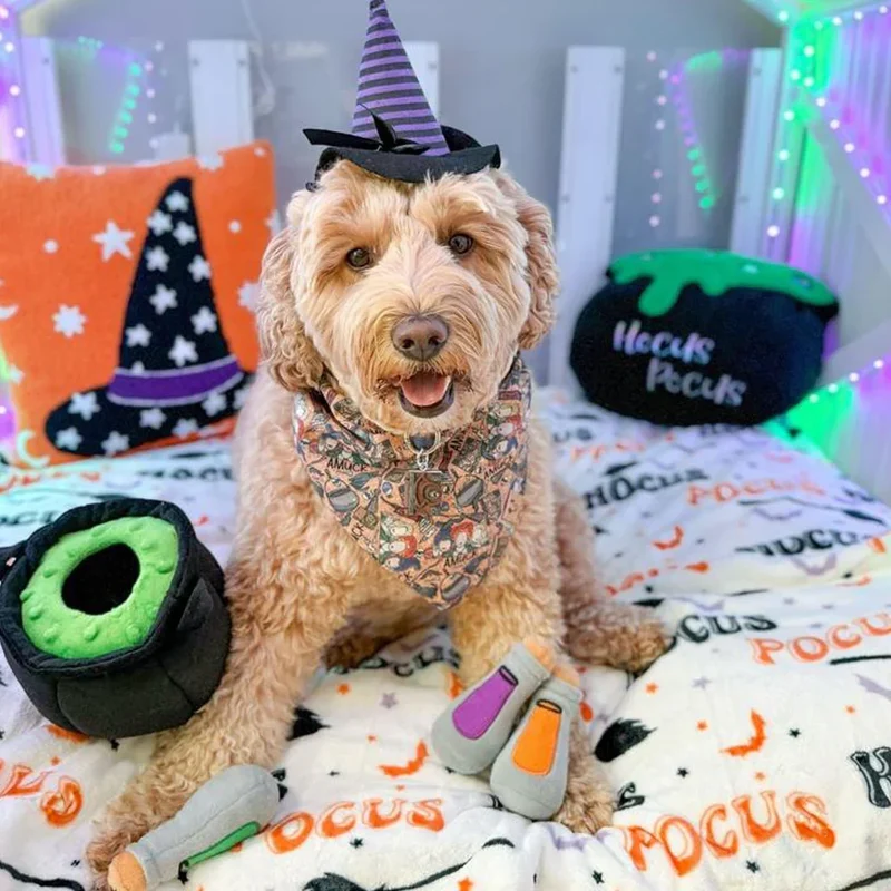 Peluche de flair Chaudron de sorcière - Jouet d'occupation pour chien – ZippyPaws® Burrow™ Witch's Brew